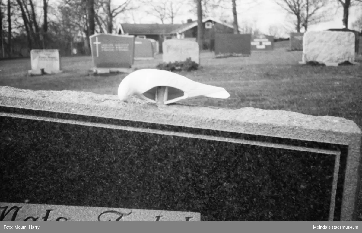 Skadegörelse på Kållereds kyrkogård, år 1983.

För mer information om bilden se under tilläggsinformation.