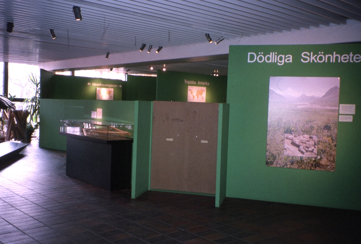 'Utställningen ''Dödliga skönheter'', giftiga ormar, på Göteborgs Naturhistoriska museum, Utställningen pågick 8 maj till 5 december 2005. :: Utställningsskärmar. ::  :: Ingår i serie med fotonr. 6946:1-27.'