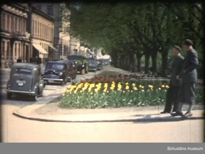 Dokumentärfilm Uddevalla 1954