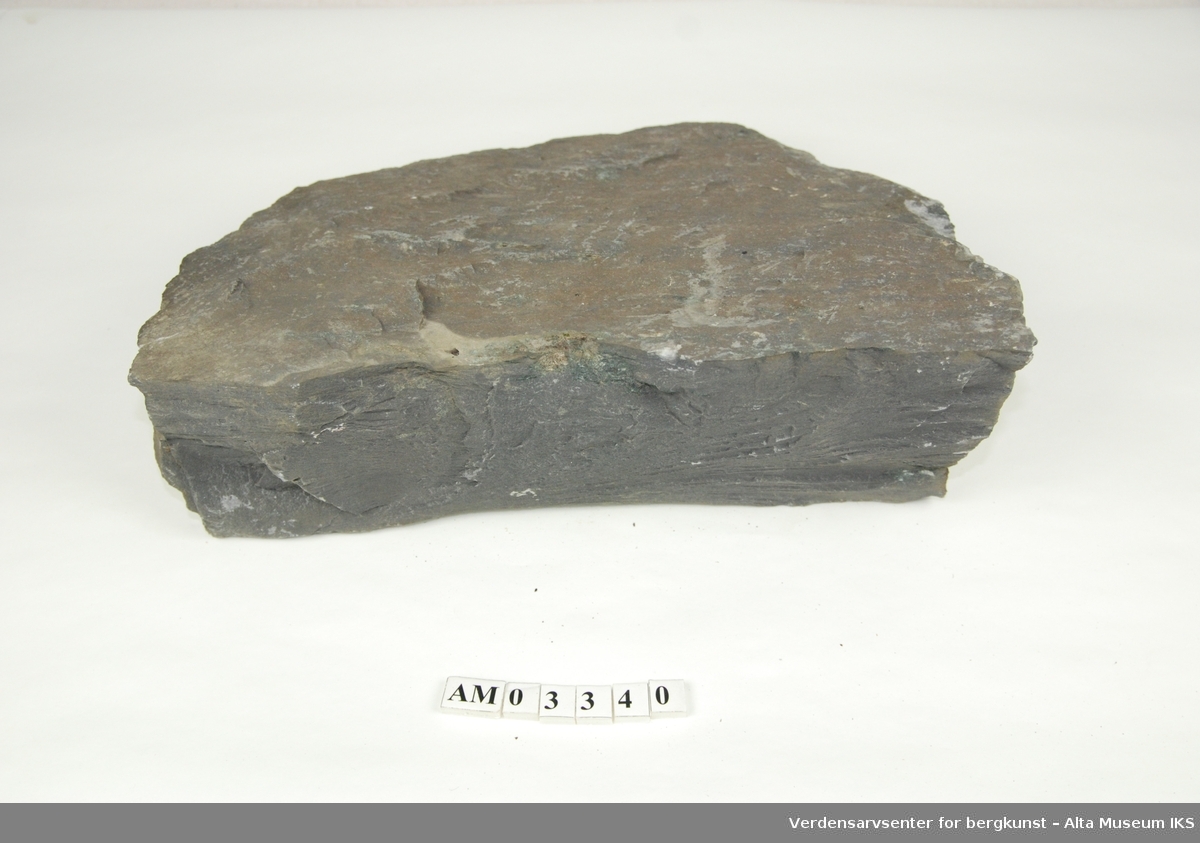 3 stk. slamstein av herdet sand og silt.

Del av samling v/feltkurs i geologi 1999, Alta.