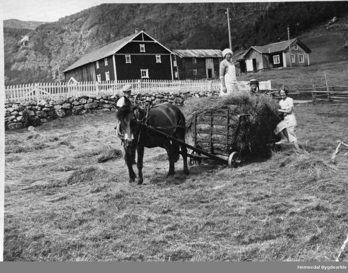 Innhausting av fôr på Kyrkjebøen, søre- 68.2 i Hemsedal, truleg i 1934.