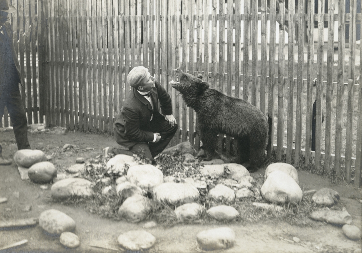 Menn og bjørnunge ved stakittgjerde