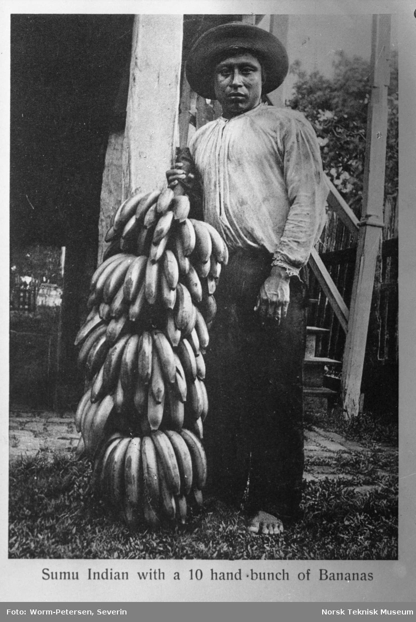Indianer med bananklase, Nicaragua