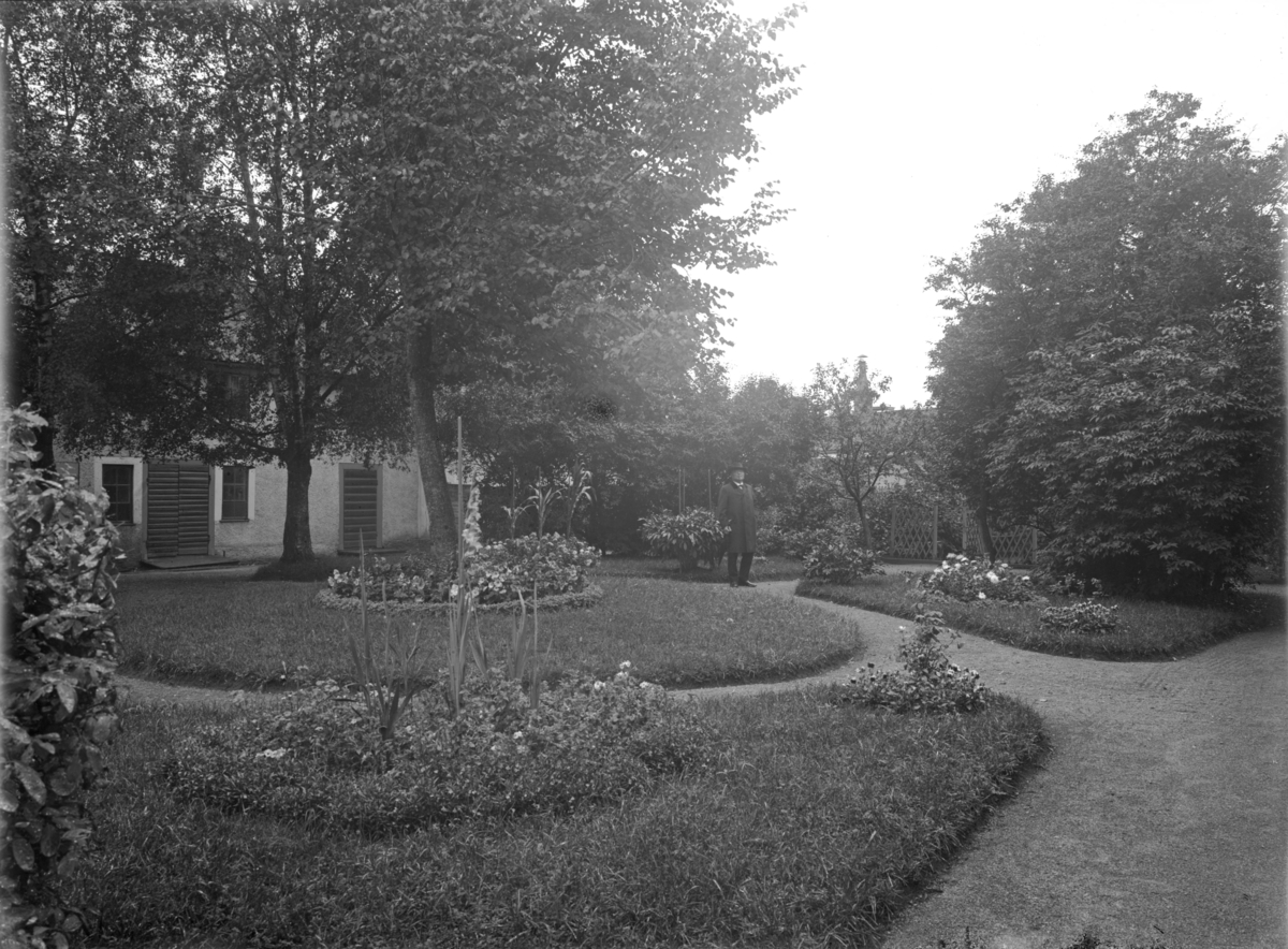 Doktor Ernst Westerlund (1839-1924) i sin trädgård, Kyrkogatan 29, Enköping