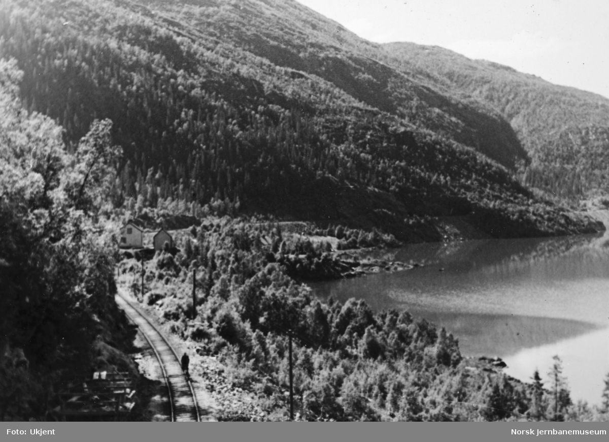 Jernbaneanlegget Mosjøen-Mo i Rana : parti fra Selhornvik sett mot sør, pel 5335