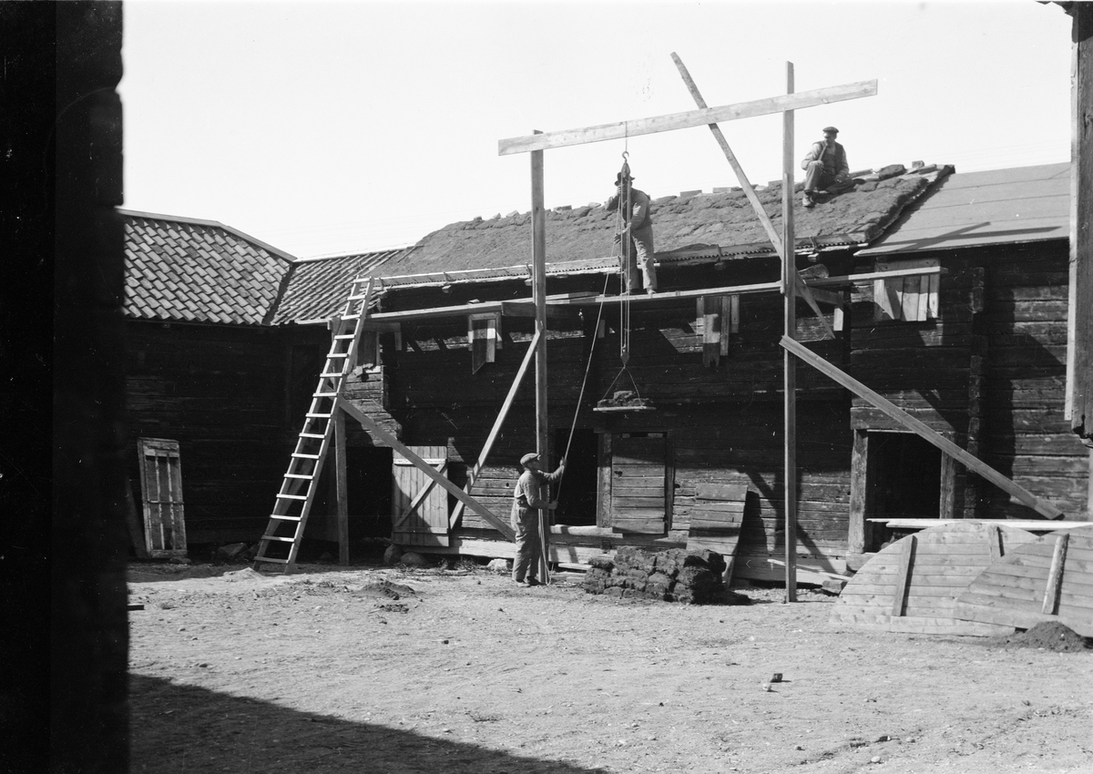 Läggning av torvtak på loftbod på Gränbygården, friluftsmuseet Disagården, Gamla Uppsala 1930 - 1931