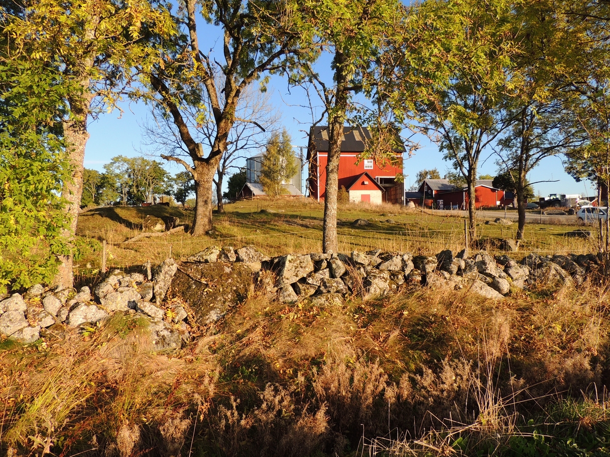 Arkeologisk kontroll, vy över gravfältet 32:1 innan schaktning, Sneby, Litslena socken, Uppland 2015