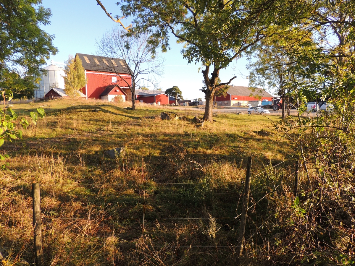 Arkeologisk kontroll, hästhagen med gravfältet 32:1, Sneby, Litslena socken, Uppland 2015