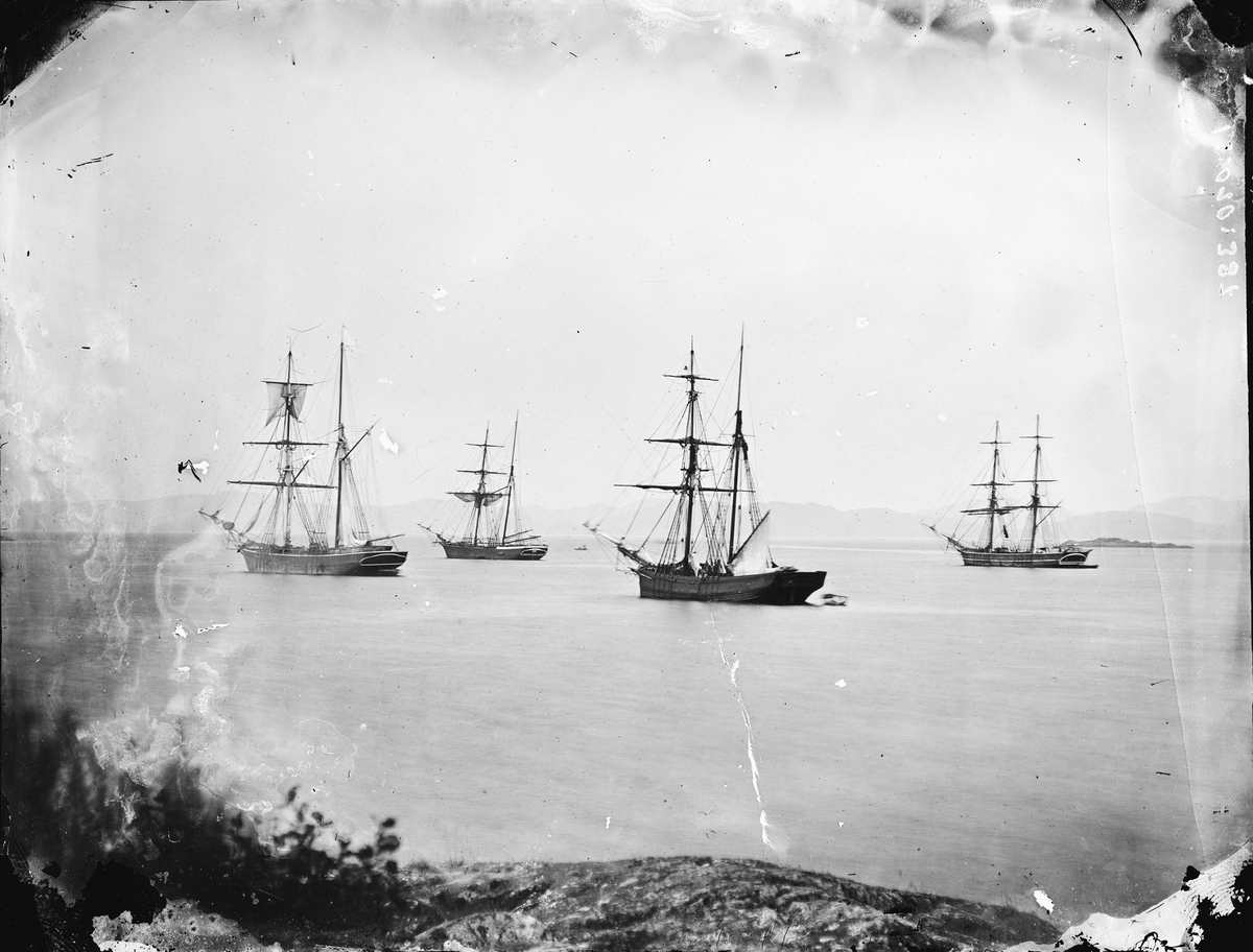 Segelfartyg i hamn. 1800-talets slut.
