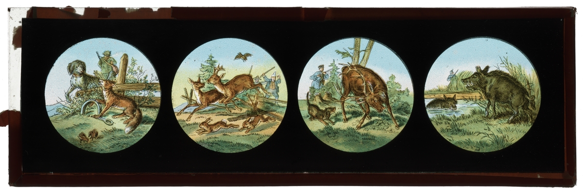 Målad bild på glas för Skioptikon/Laterna magica.
Motiv av jägare och djur i skogen.