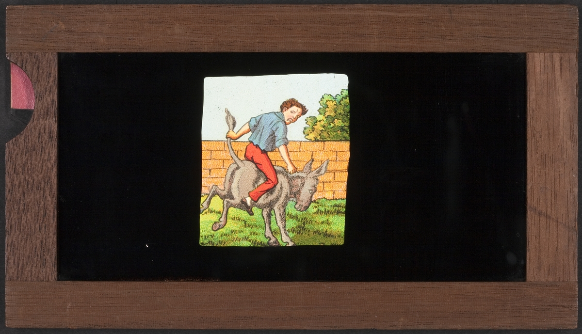 Ljusbild för laterna magica med motiv av pojke ridande på åsna som sparkar bakut.