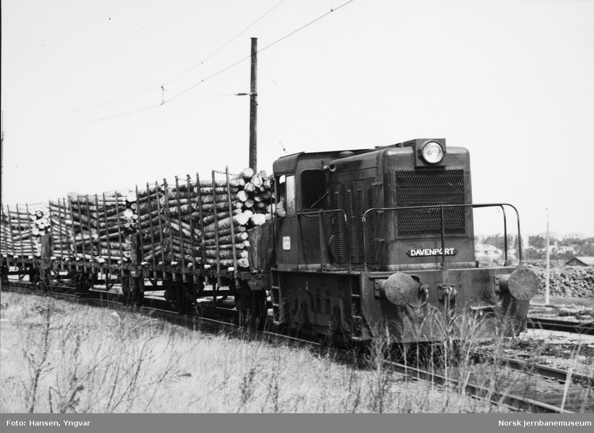 Borregaards diesellokomotiv nr. 3 med tømmertog