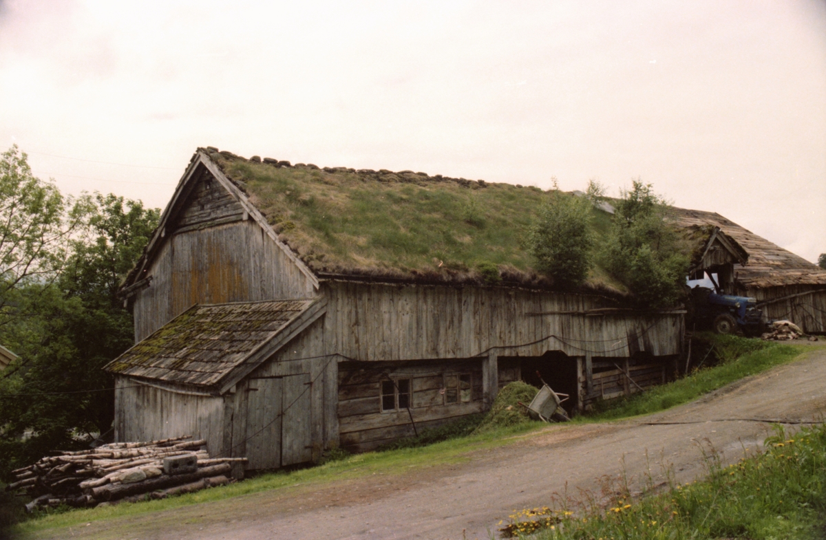 Dokumentasjonsbilder av Stavsengløa i Liabygda.