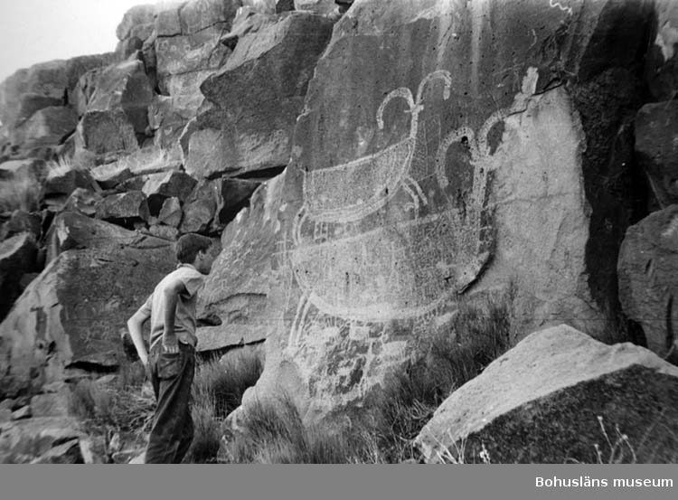 Ristning på bergvägg, Big Petroglyph Canyon, Kalifornien