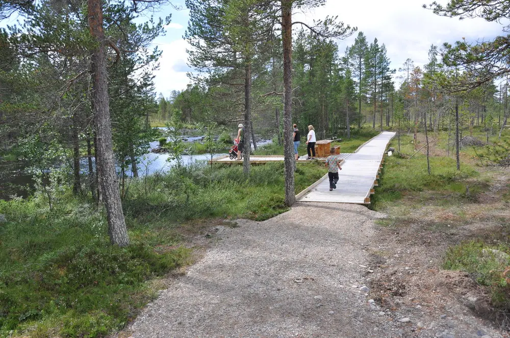 Overview of the dirt road that goes to boardwalk. There is a boy walking on the boardwalk.