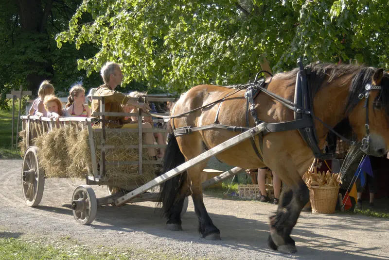 Hest og kjerre
