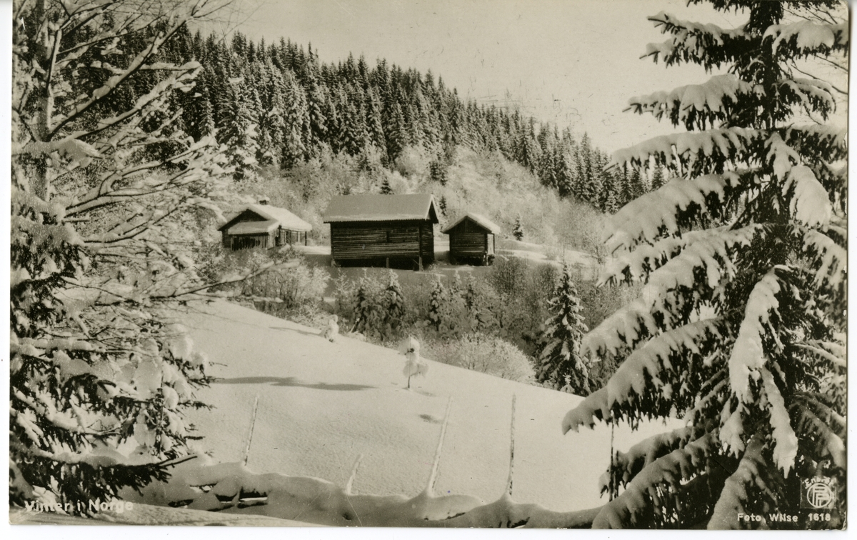 Postkort. Vinterlandskap med hytter og skog.