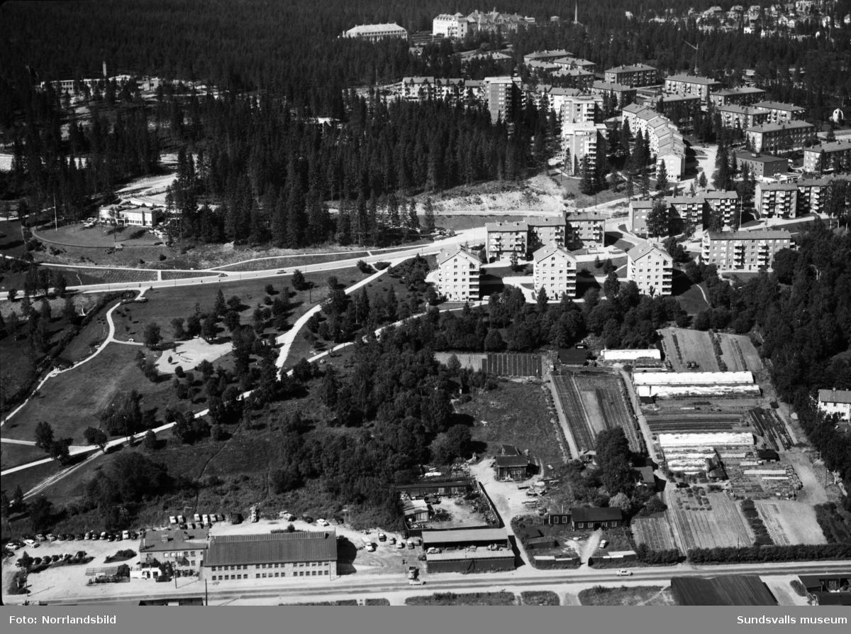 Flygfoton över Lindvalls handelsträdgård, busbacken, Tivolivägen, Norrliden och Sanatoriet.