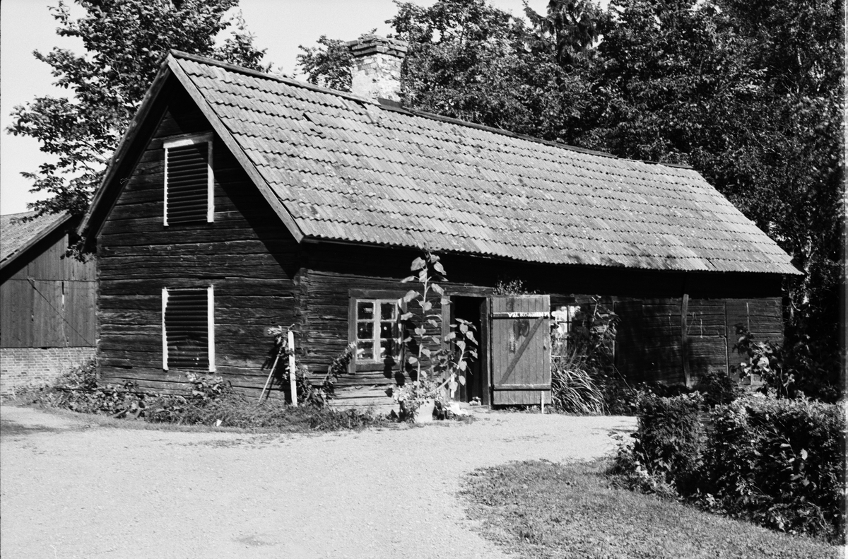 Brygghus, Norrby 1:2, Skuttunge socken, Uppland 1984