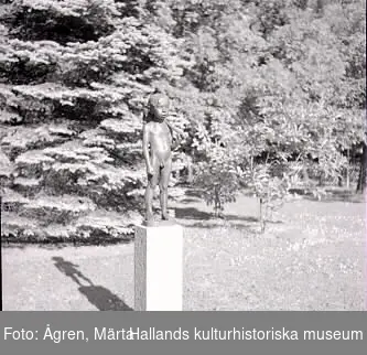 "Skulpturen ""Gossen med guldgåsen"", gjord av Einar Luterkort. Placerad i rosengården i Societetsparken 1951-07-01."