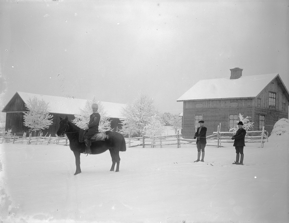 "På skidor efter häst framför Agustsons villa", Sävasta, Altuna socken, Uppland 1919