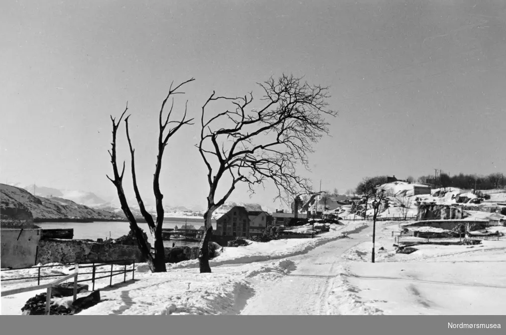 Ruinene er dekket av snø.  Tyskerne etterlot Kristiansund i ruiner i aprildagene 1940.  Her til høyre ser vi fra Storgata hvor fotografen hadde hatt sitt hjem, Ervig-gården.  (Se foto som viser bebyggelsen i samme området før bombingen KMb-045.0015)  Midt på bildet ser vi  de forkullede restene av trær og de få igjenværenede bryggene og fyrløkta på Sørholmen.  Lengst til venstre ligger Innlandet og vi ser Sørsundet og utløpet mot Bremsnes på Averøya.
Disse to trærne er også motiv på bildene i KMb-2008-045. 0014 og 0015 som viser stedet på 1930 tallet.  Trærne ser vi også på andre eldre foto fra den tid da Niels Lossius var eier av den gamle eiendommen.  
I dette området som vi ser midt på bildet var i tidligere tider utsatt for to branner som også den gang rammet mange.  Først Hålabrannen i 1848 og så fem år senere i 1852, en brann i Vestre bydel som strakte seg fra Håla og mot Svinryggen i Storgata.