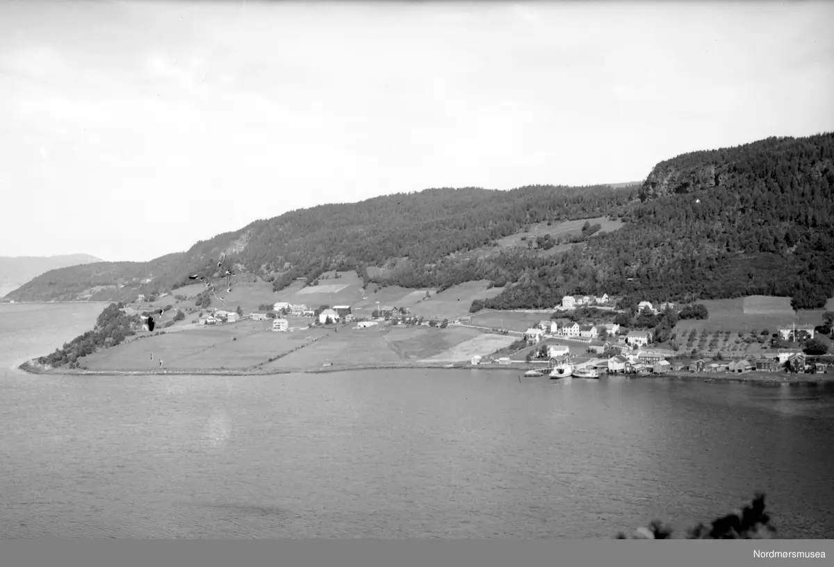 Georg Sverdrup på reportasjetur for Aftenposten? (Fra Nordmøre Museums ...
