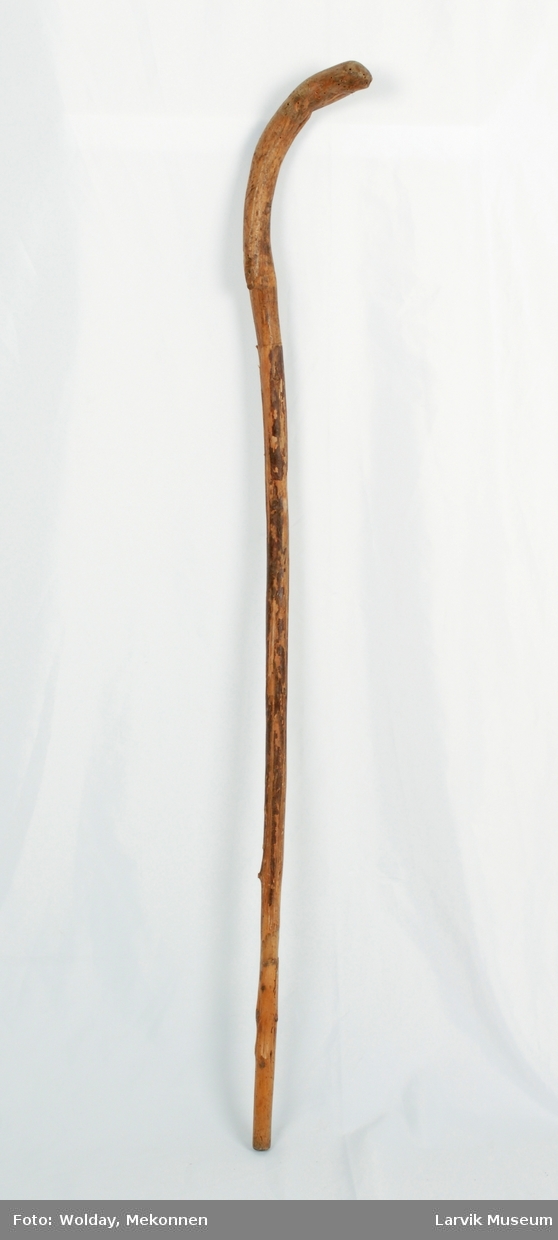 Form: endel kvist/spikket på ca 15 cm over foten, halveis ubarket over dette til ca 25 cm nedenfor toppen.håndtaket er en naturlig bøyning i greinen..