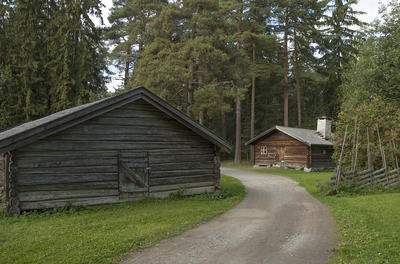 Grusveg som leder inn mellom et grått tømmerhus til venstre og et brunt tømmerhus med flistak til høyre. Rundt husene ligger høye furutrær. (Foto/Photo)