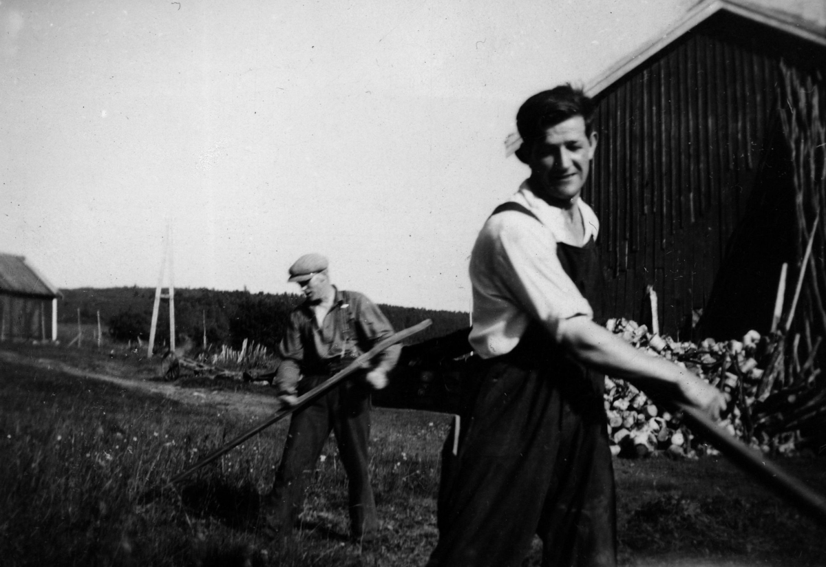 Ljåslått i Myrli, Sørreisa 1960