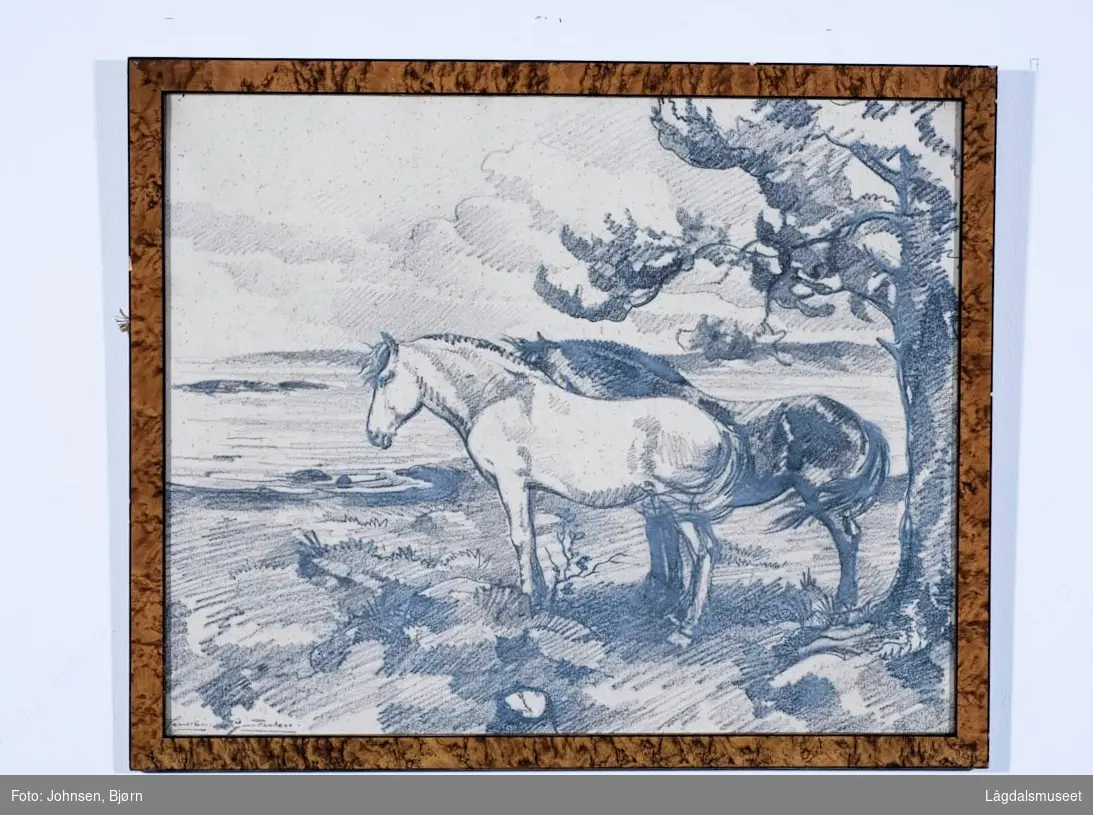 To hester, en hvit foran og en svart bak, står foran et åpent landskap. Til høyre for hestene et tre.