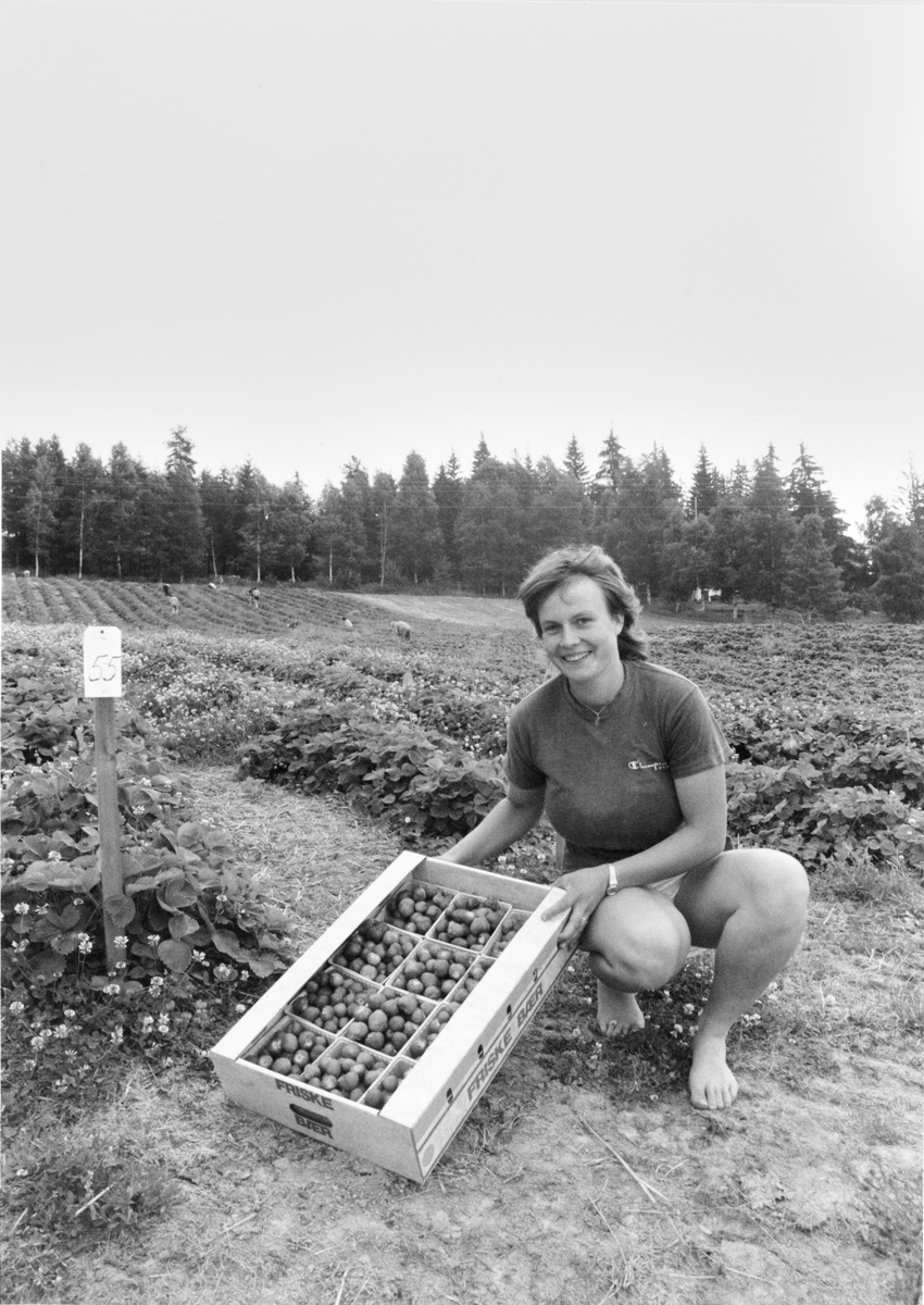 Bodil Boasson tilbyr egenproduserte jordbær fra gården i Søndre Nittedal.