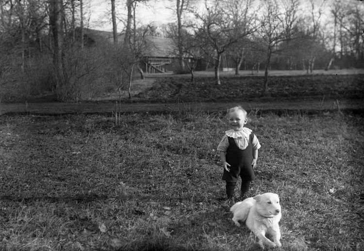 En liten pojke står i en hage med en hund liggande framför sig. I bakgrunden syns en ladugård.