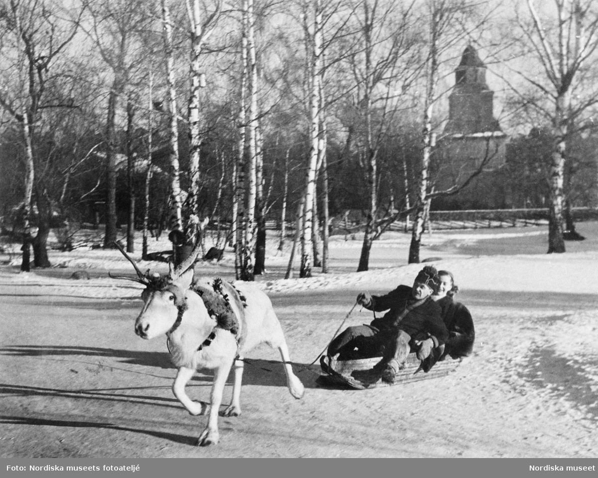 Vinterbild från Skansen, med Seglora kyrka i bakgrunden. Renkörning. Två personer åker i ackja dragen av en ren. Mannen som kör är Torkel Larsson som under många år var aktör i Skansens sameviste.