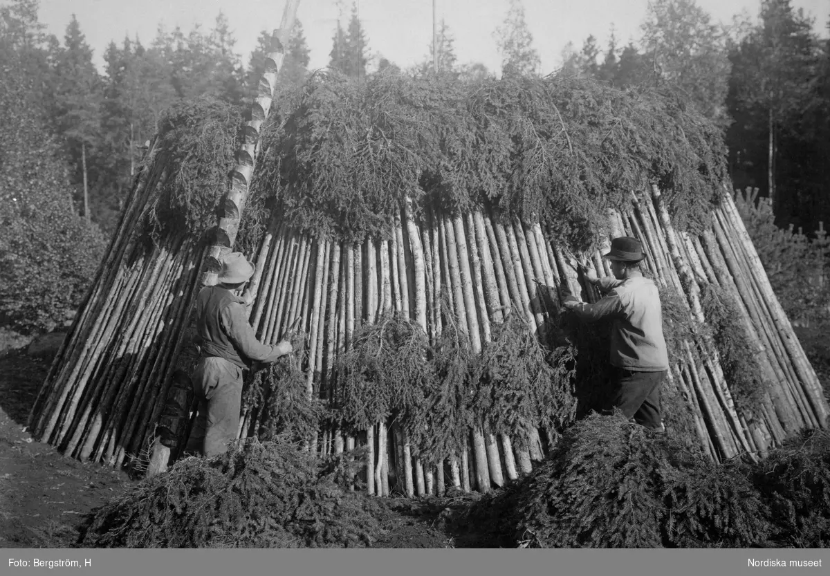 Dokumentation av arbete med kolning i Gammalkroppa i Värmland. Två män arbetar med att täcka en mila med granris.