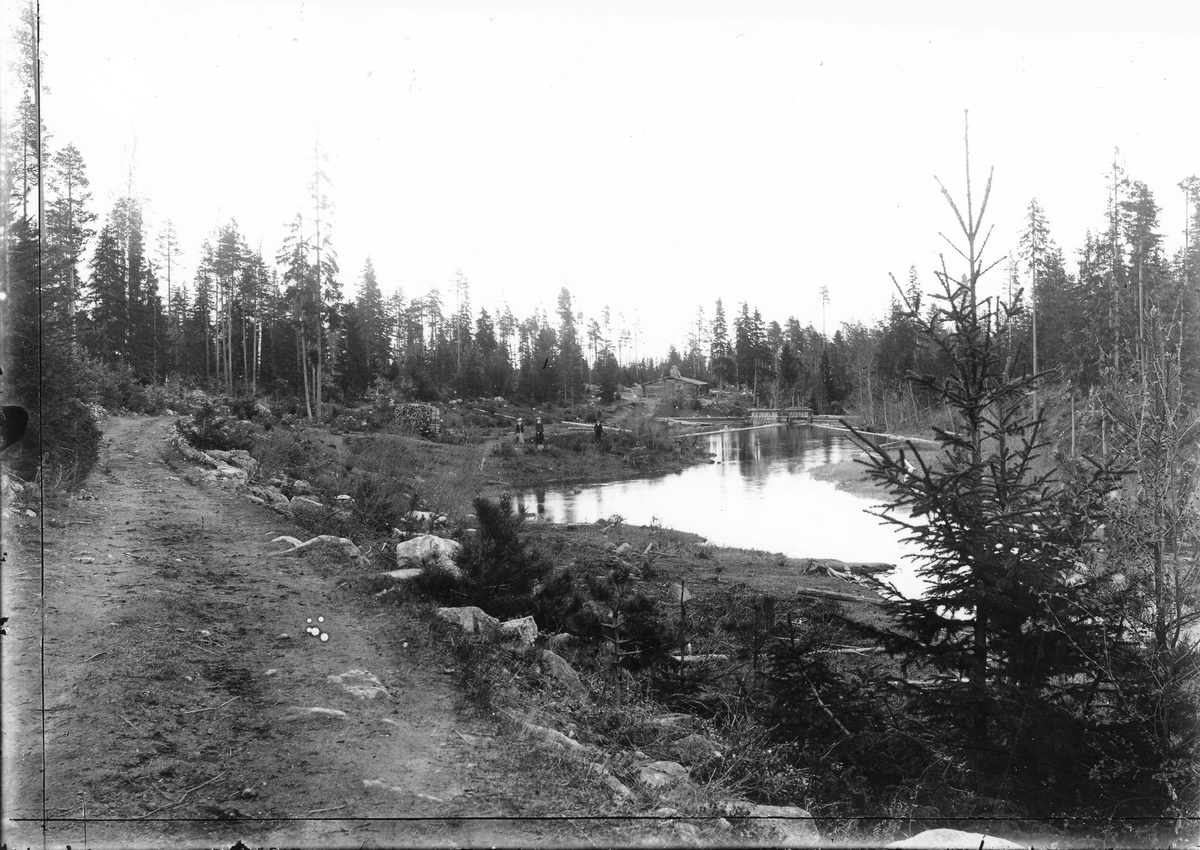 Lövdammen, låg ovanför Fångsmyra efter vägen till Rickebo. Gällsån rinner genom dammen. Foto den 26 maj 1907.