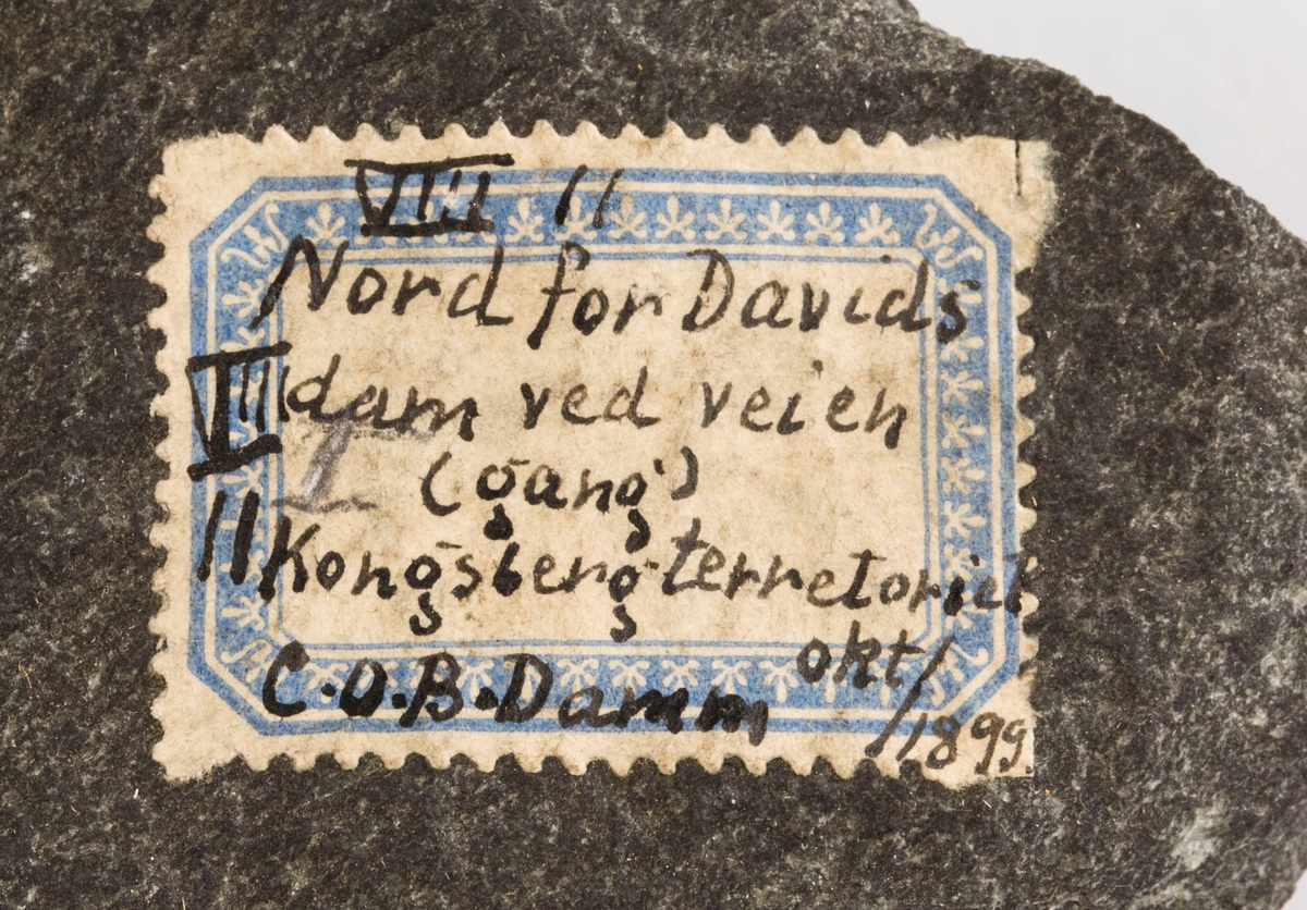 Etikett på prøve:
VIII 11
Nord for Davids dam ved veien
(gang)
Kongsberg terretoriet
C.O.B. Damm okt/1899.