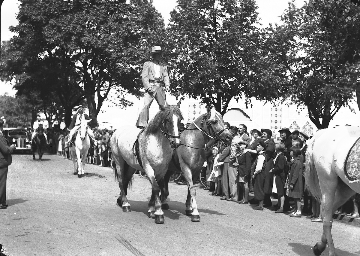 År 1938. Vårreportage. Cirkusparad. Reportage för Gefle Dagblad
Hästar
