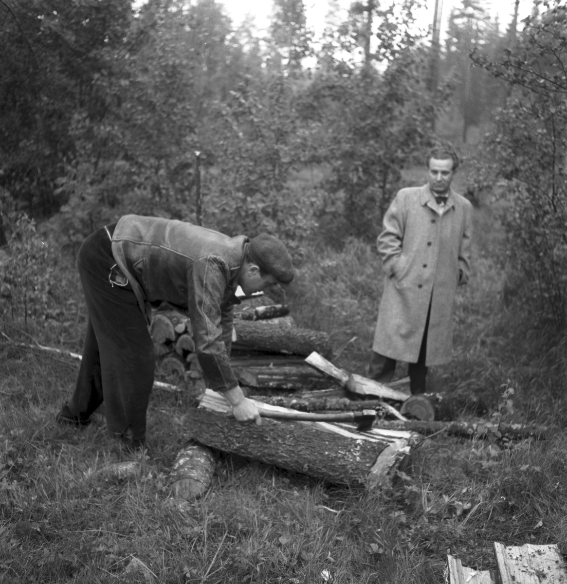 Bränslekommission skogshuggare. 18 juni 1947.