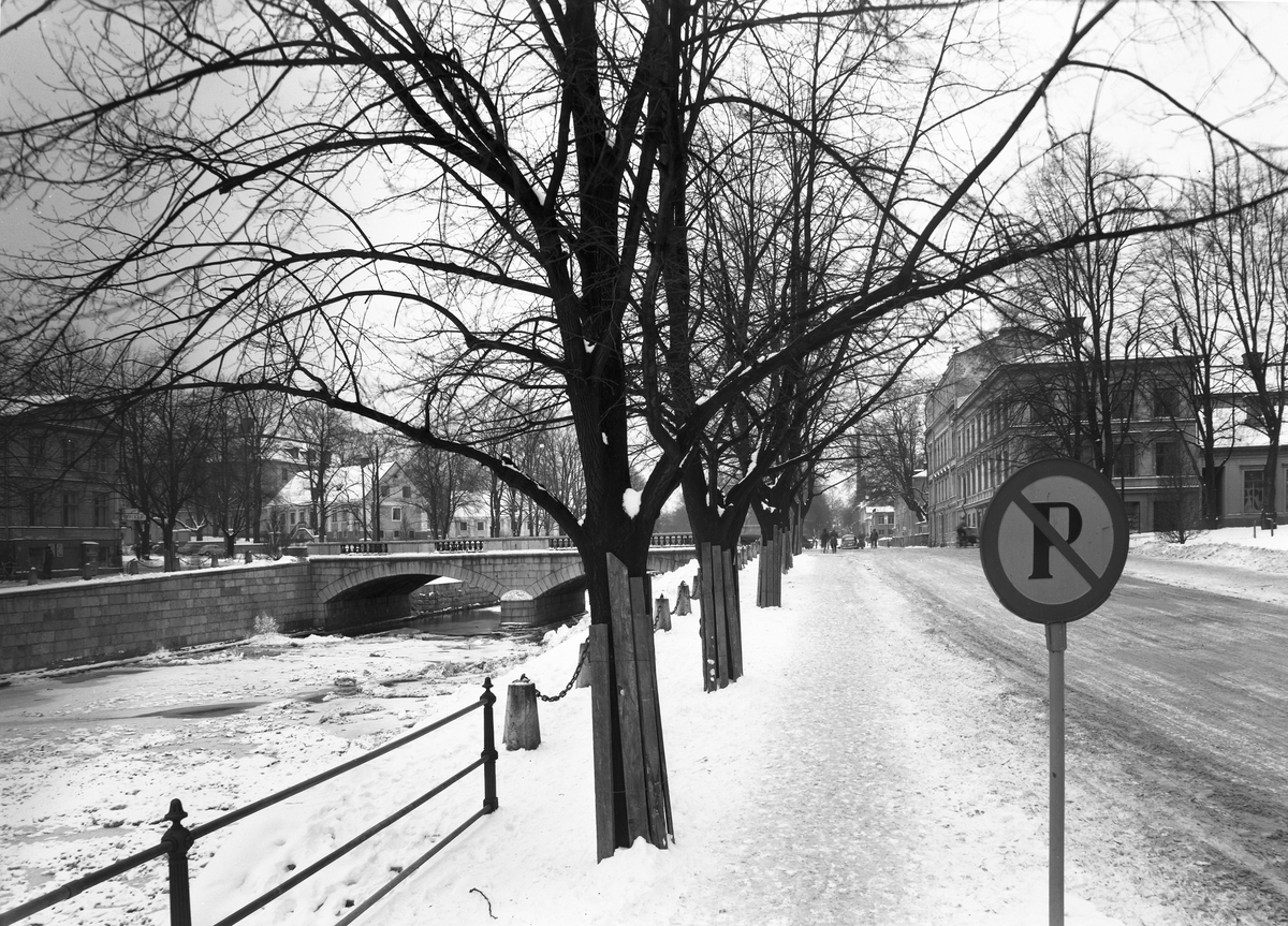 Norra Strandgatan. 24 januari 1955