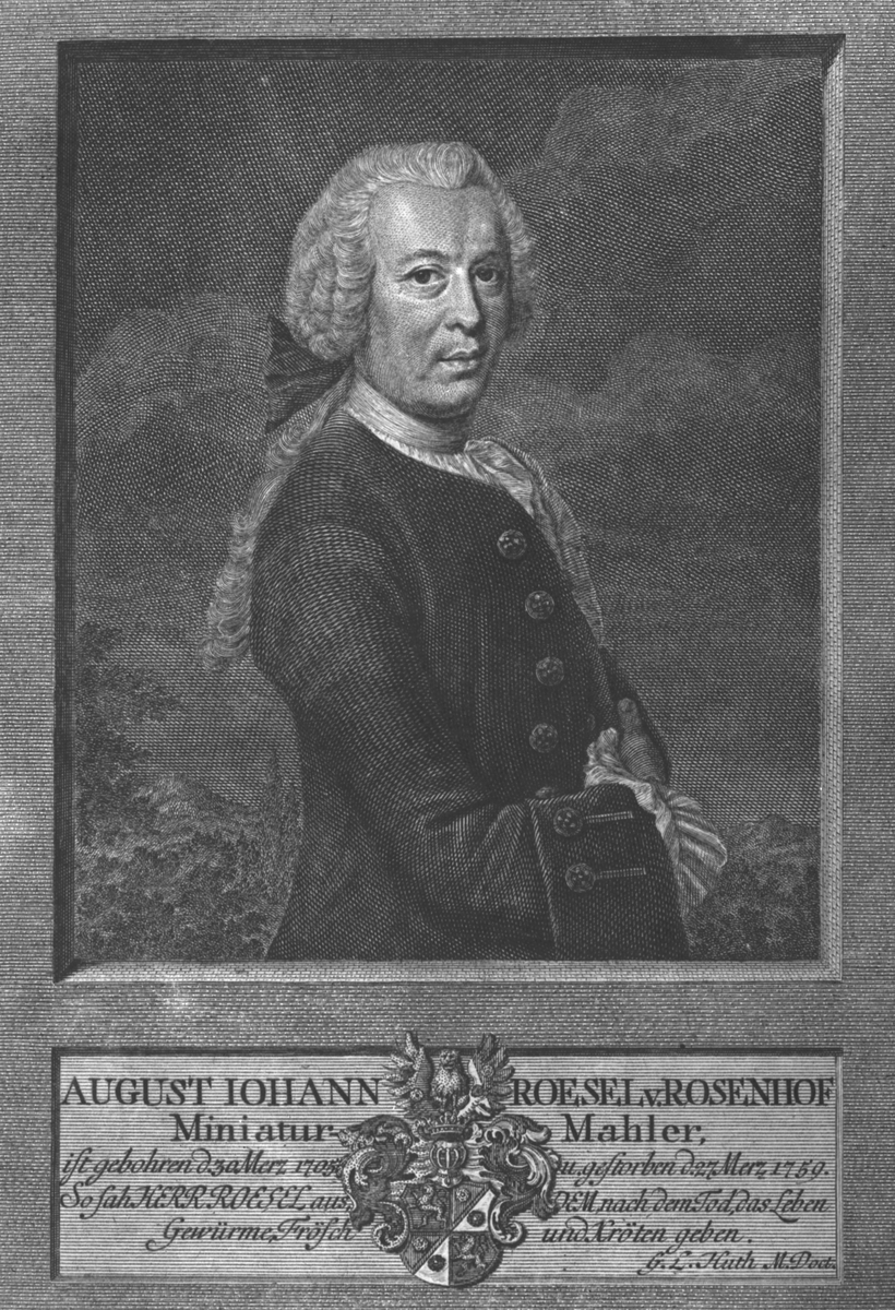 Porträtt. August Johann Roesel v Rosenhof
