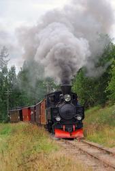 Lokomotiv nr. 7 Prydz med museumstog på vei oppover Sætrabak
