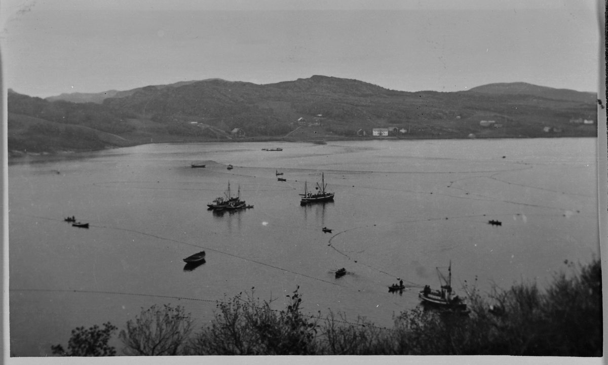 Notfiske på Bjugnfjorden ca. 1936