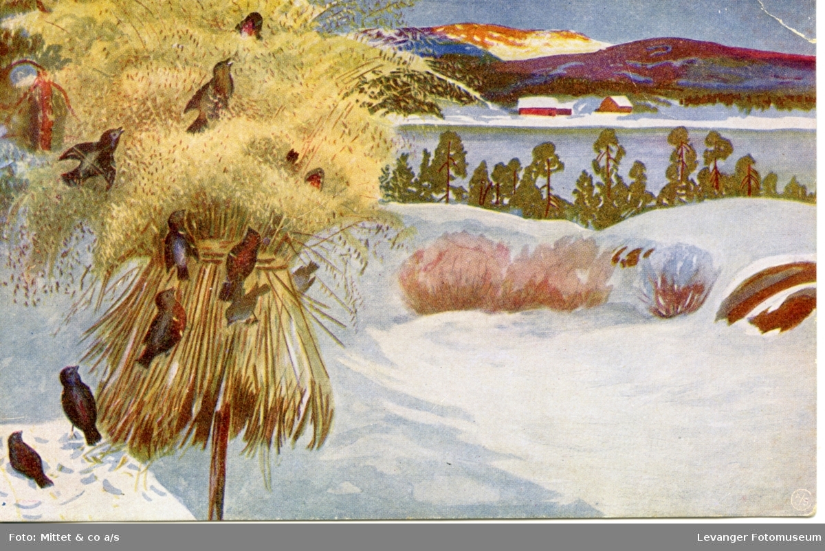 Postkort med vintermotiv, småfugler i kornneket.