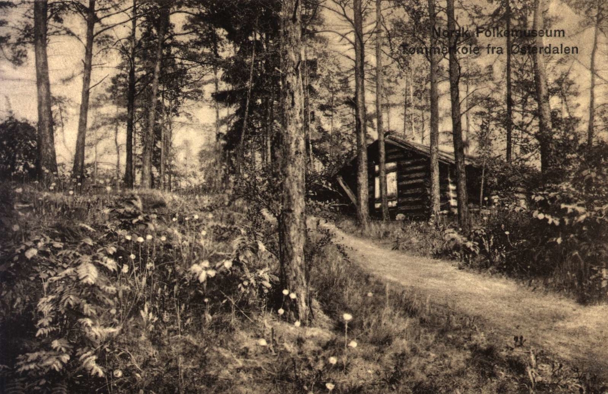 Postkort. Tømmerhus i skogen. Telemarkstunet, NF.