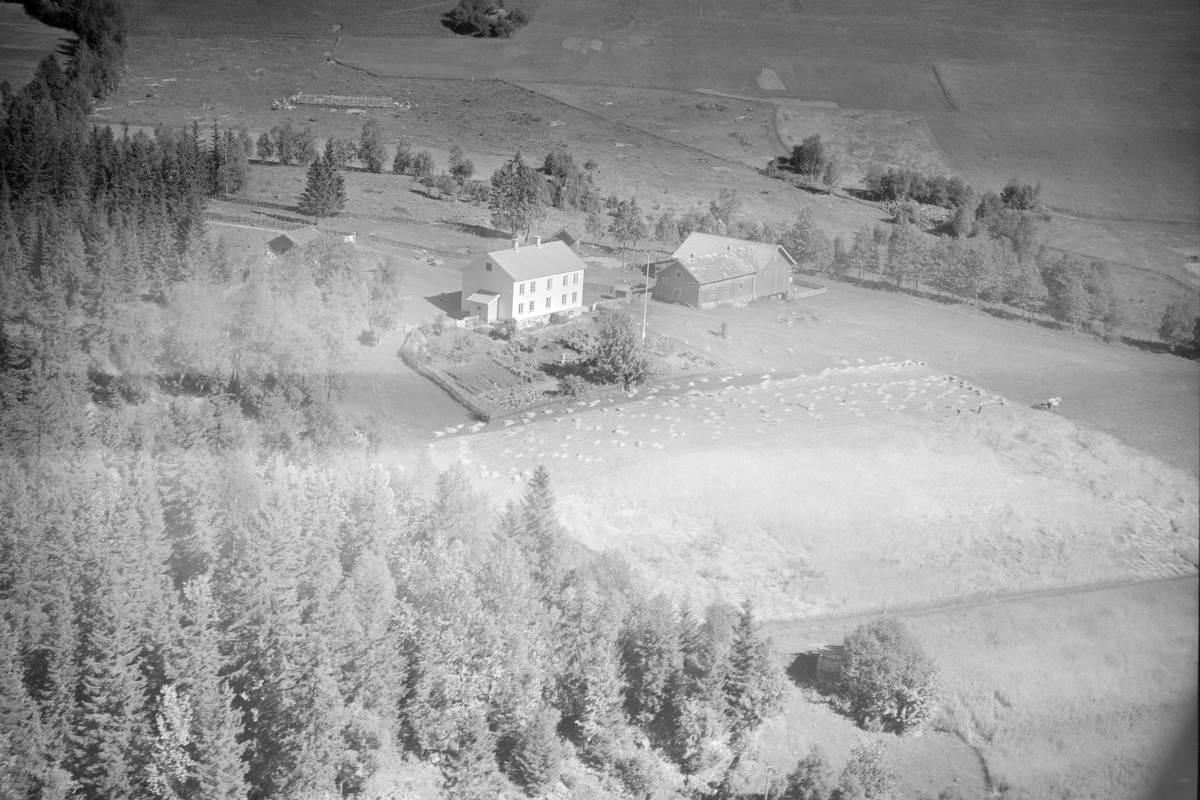 Tofte gård, Øverbygda, Østre Gausdal, åkrer, kornband - Maihaugen ...