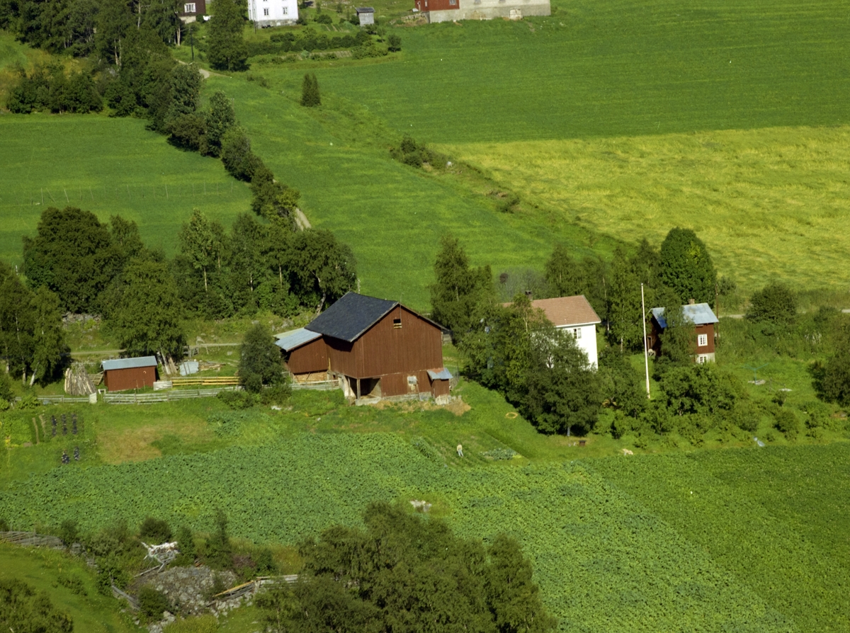 Gårdsbruk, Gausdal