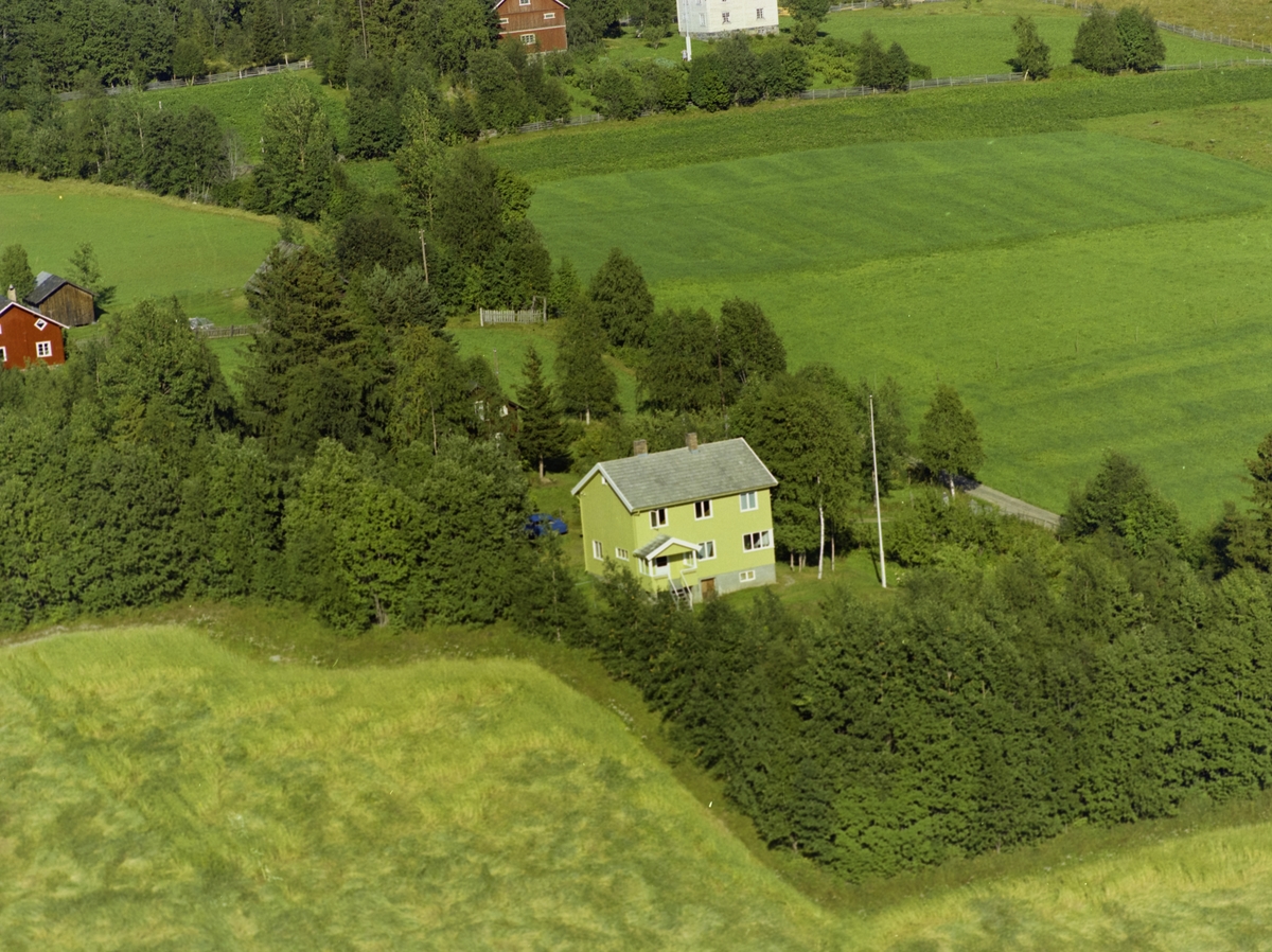 Privatbolig Windju, Østrea Gausdal. Lysegrønt våningshus, hvit flaggstang, liten tomt omgitt av løvtrær.