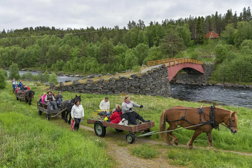 Fløttdagen på Dølmotunet i Tolga 17/6 2016. Opptog gjennom Gata, bildet er tatt ved Gammelbrua over Glomma på Tolga.