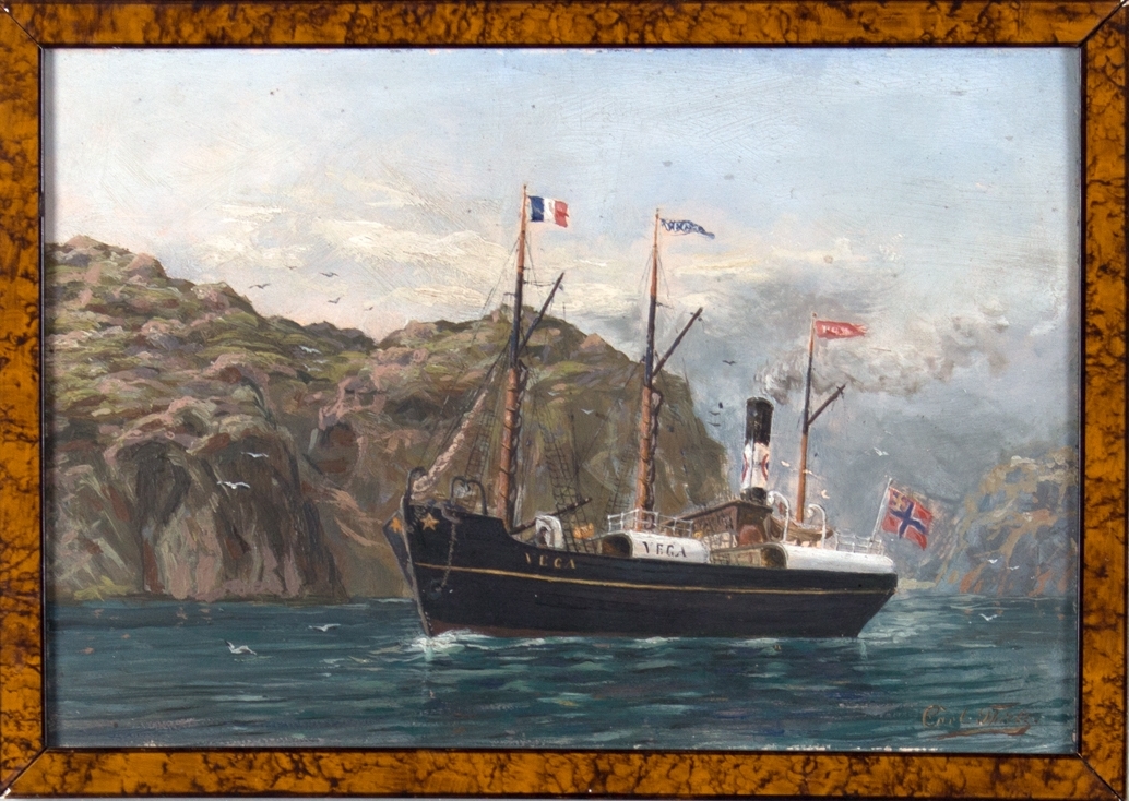 Dampskipet VEGA seilende langs en fjellkyst. Fransk flagg på fortopp, norsk flagg med unionsmerke i akter.
